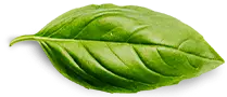 henbari leaf