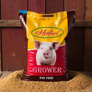 Henbari Grower Feed